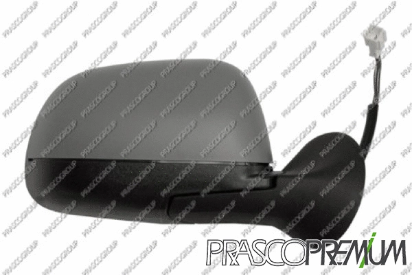 Exterior Mirror (DA8207213P)