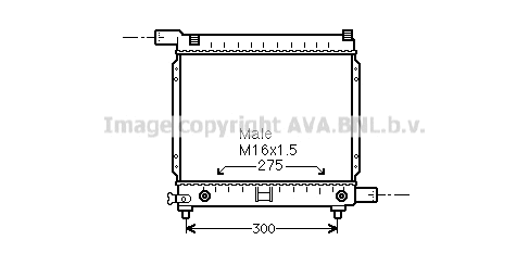 Radiator, engine cooling (MS2064)