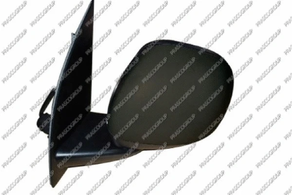 Exterior Mirror (FT1237003)