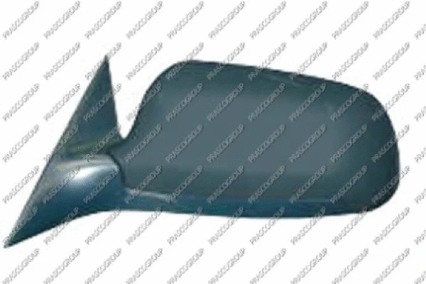 Exterior Mirror (AD0167344)