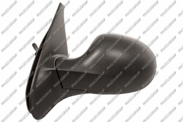 Exterior Mirror (RN3267114)