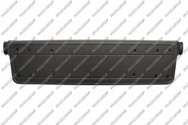 Licence Plate Holder (BM0201539)