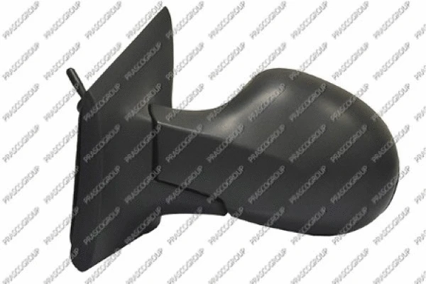Exterior Mirror (RN3067114P)
