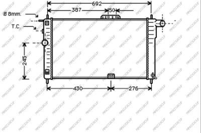 Radiator, engine cooling (DW001R001)