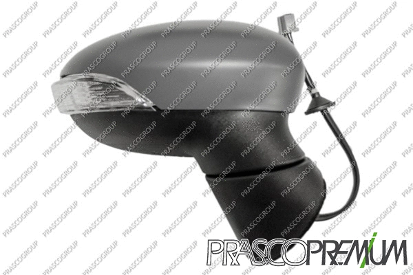 Exterior Mirror (FD3467323P)