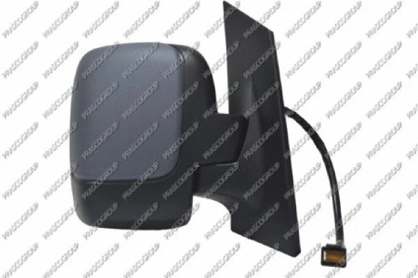 Exterior Mirror (FT9237093)