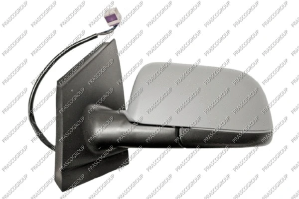 Exterior Mirror (VG0217324)