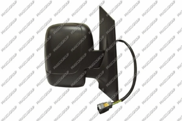 Exterior Mirror (FT9237083)