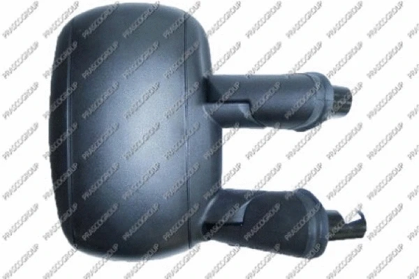 Exterior Mirror (FT9087013)