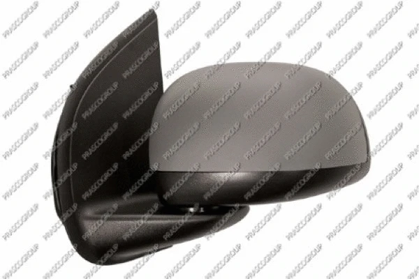 Exterior Mirror (FT1247125)