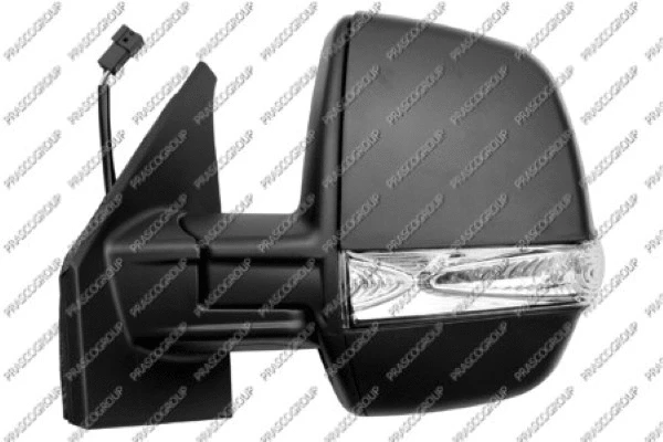 Exterior Mirror (FT9107334)