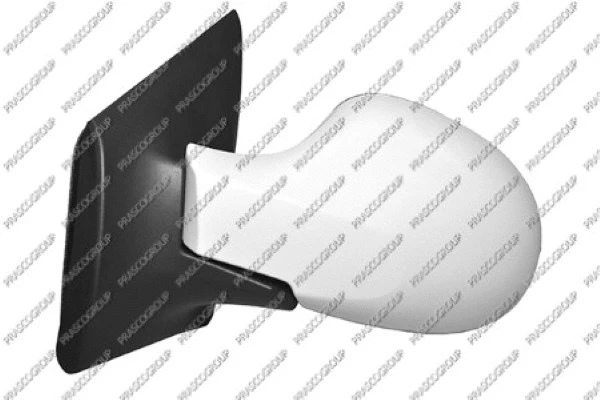 Exterior Mirror (RN3067314P)