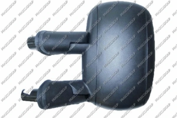Exterior Mirror (FT9087004)