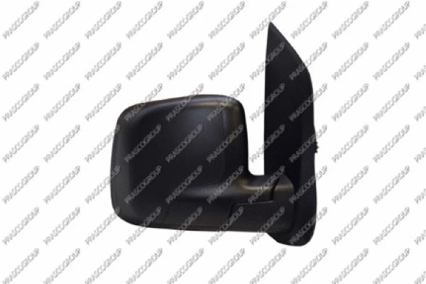 Exterior Mirror (FT9077313)