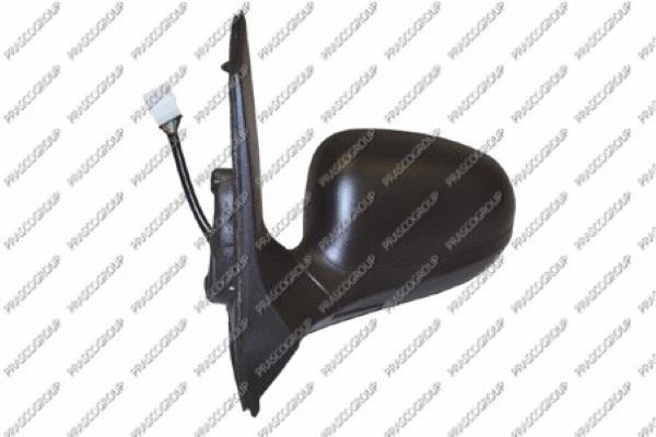 Exterior Mirror (FD0087204)