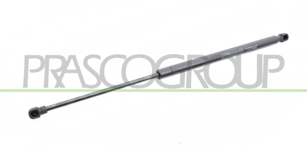 Gas Spring, boot/cargo area (RN3299055)