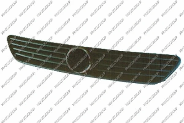 Radiator Grille (OP0172001)