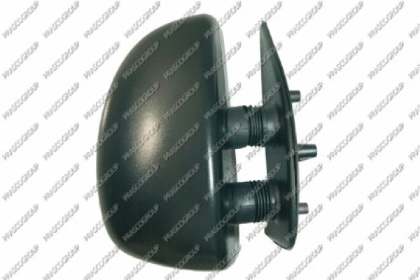 Exterior Mirror (FT9197013)
