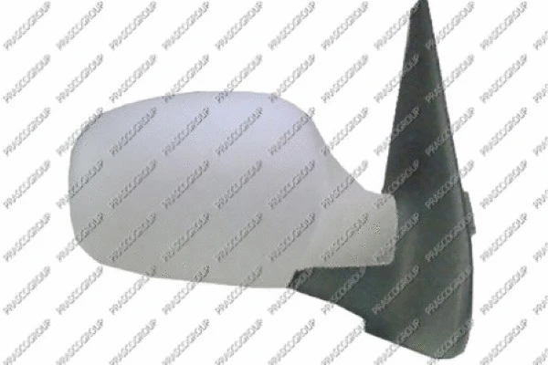 Exterior Mirror (RN3227313P)