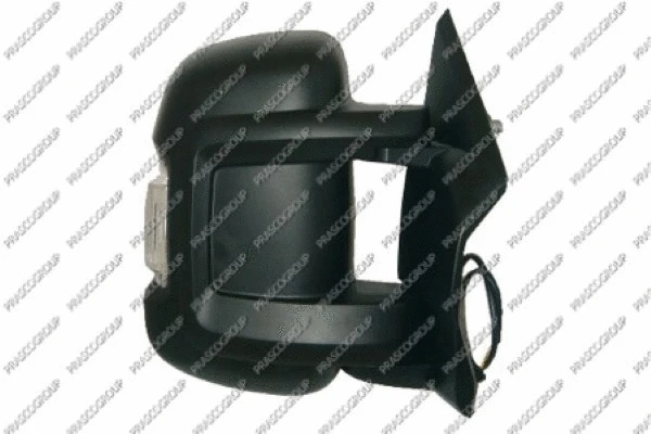 Exterior Mirror (FT9307303)