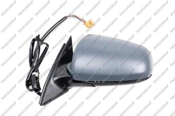 Exterior Mirror (AD0227383P)