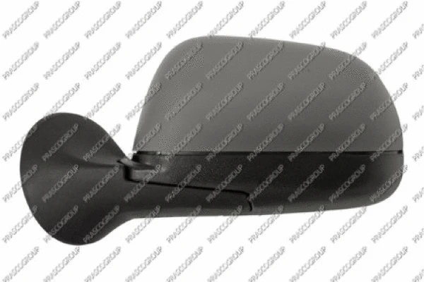 Exterior Mirror (DA8207014)