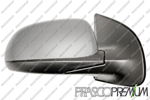 Exterior Mirror (HN2007333P)