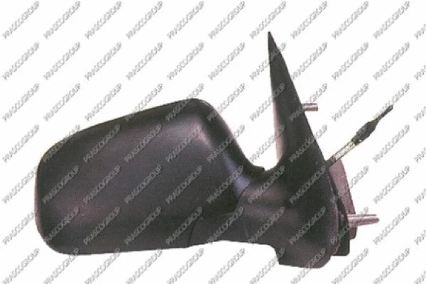 Exterior Mirror (CI4207124)