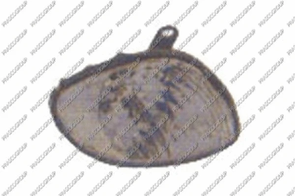 Direction Indicator (TY0874013)