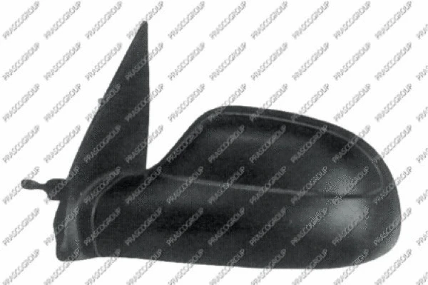 Exterior Mirror (CI0227314)