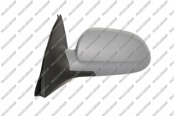 Exterior Mirror (DW4107324)