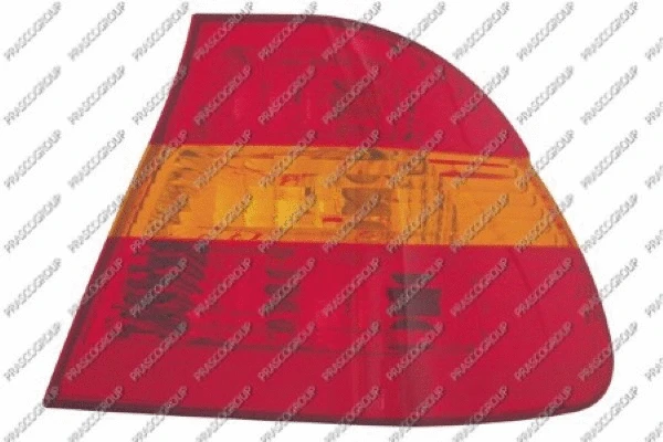 Tail Light Assembly (BM0204156)