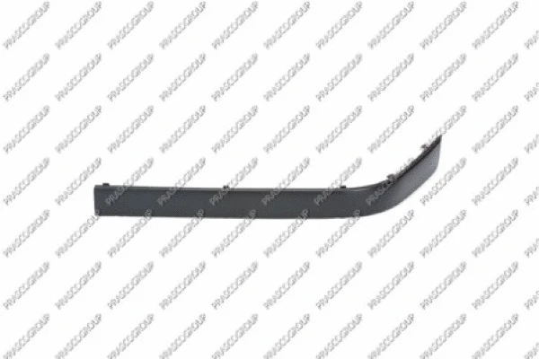 Trim/Protection Strip, bumper (BM0141244)