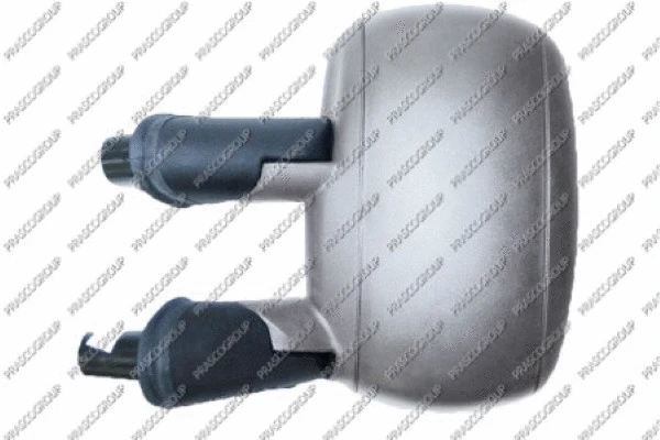 Exterior Mirror (FT9087124)
