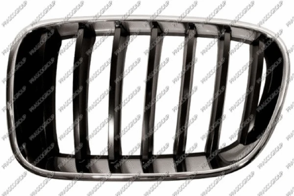 Radiator Grille (BM8042004)