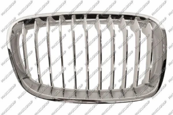 Radiator Grille (BM1232013)