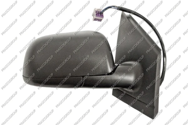 Exterior Mirror (VG0217313)