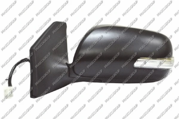 Exterior Mirror (TY2447364)