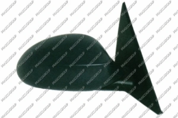 Exterior Mirror (BM1207313)