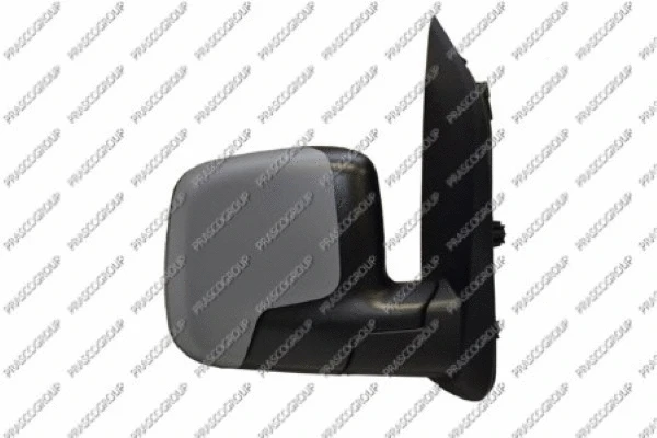Exterior Mirror (FT9077323)