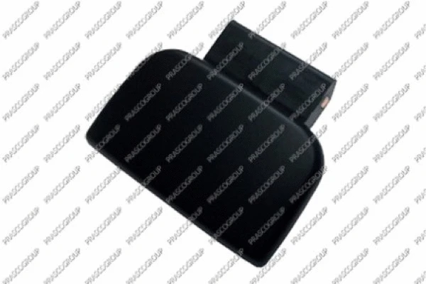 Exterior Door Handle (PG9048013)