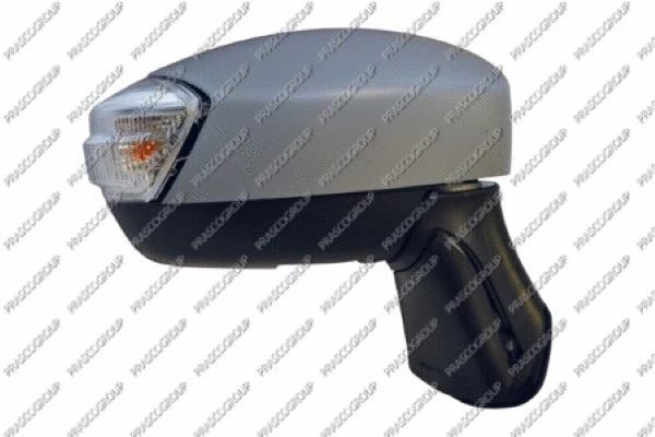 Exterior Mirror (FD8027323)