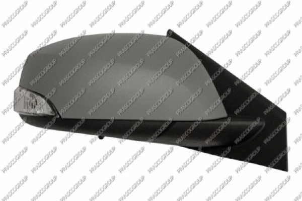 Exterior Mirror (RN0867313)