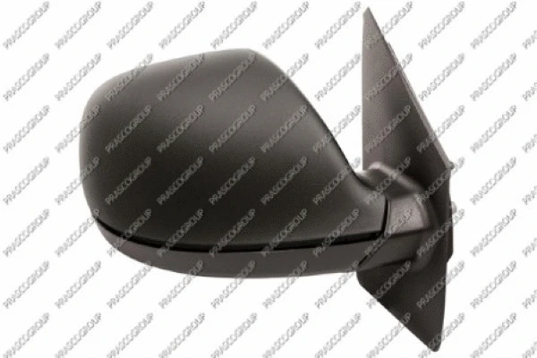 Exterior Mirror (VG9197313)