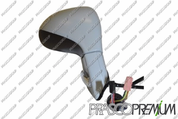 Exterior Mirror (PG4247323P)