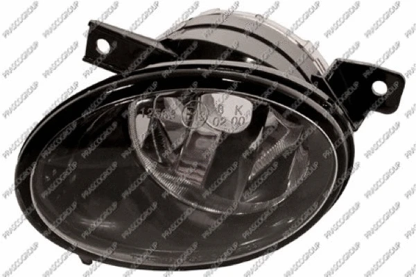 Front Fog Light (VG9194416)