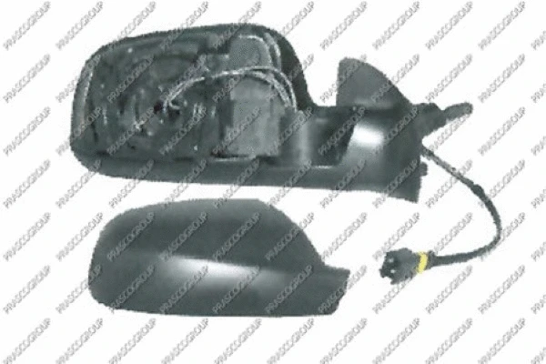 Exterior Mirror (PG4207313)