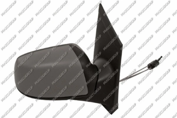 Exterior Mirror (FD4247123)