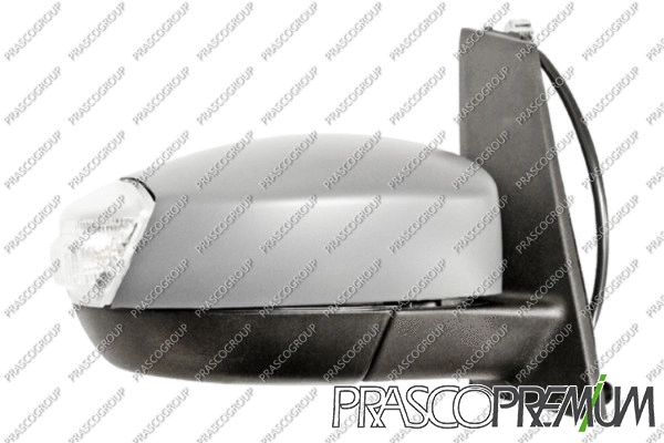 Exterior Mirror (FD7197303P)