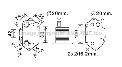 Oil Cooler, engine oil (BW3554)
